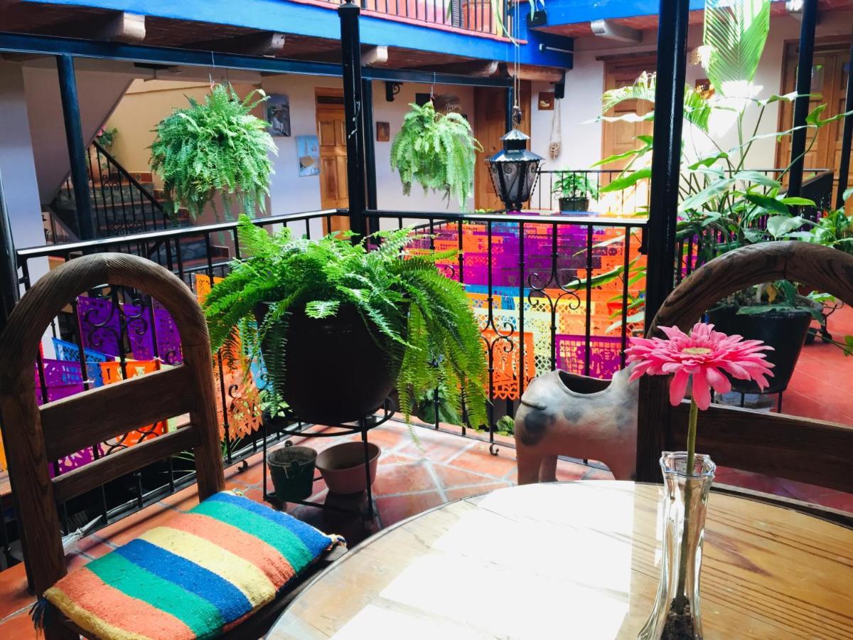 Hotel Cazomalli Oaxaca מראה חיצוני תמונה