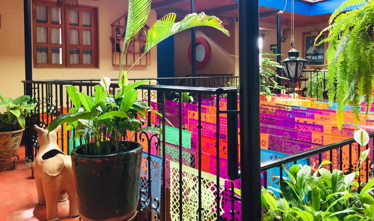 Hotel Cazomalli Oaxaca מראה חיצוני תמונה