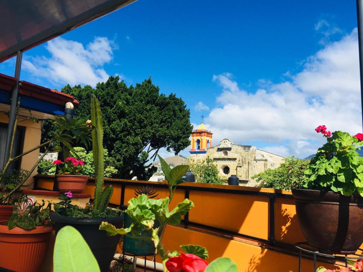 Hotel Cazomalli Oaxaca מראה חיצוני תמונה